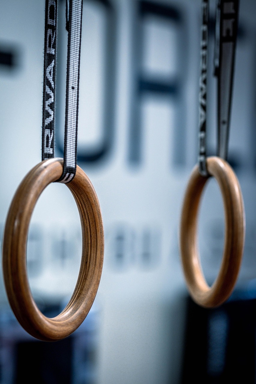 fitness-rings-7530142_1280.jpg